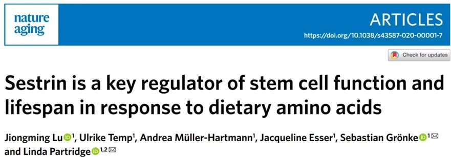 柳叶刀：饮食决定寿命！最佳饮食方法公布，这么吃能防病、延寿