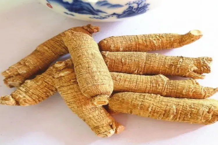 西洋参的图片大全