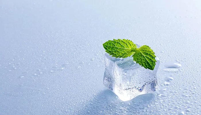 薄荷叶的功效与作用 薄荷叶图片