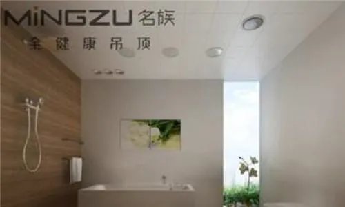 集成吊顶十大品牌排名 集成吊顶哪个牌子好