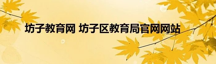 坊子教育网 坊子区教育局官网网站