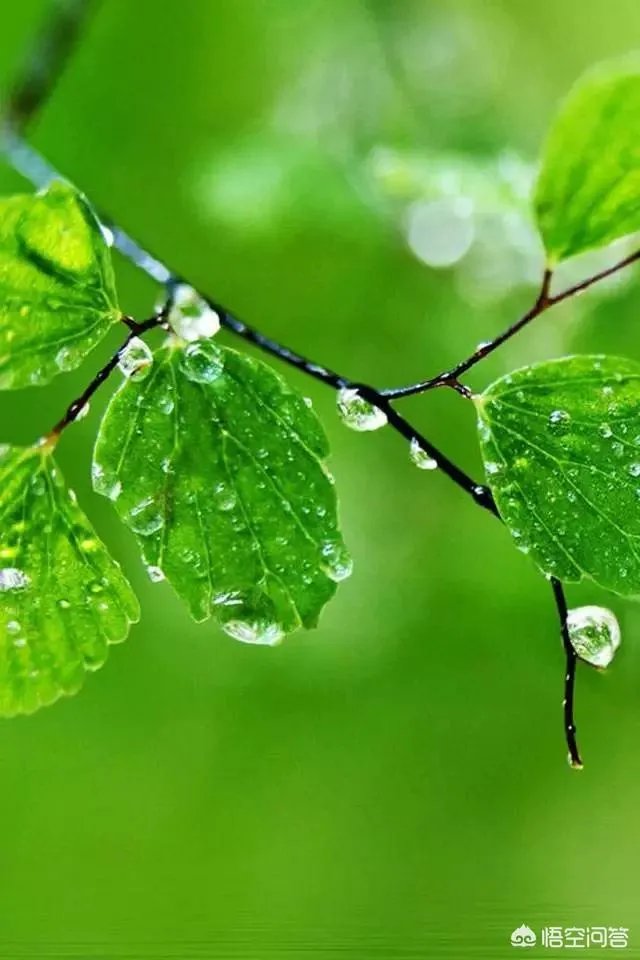 你的手机桌面是什么图片？可以让大家观看一下么？