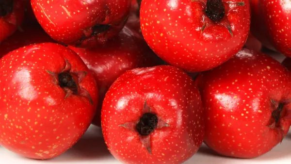 山楂片泡水的功效