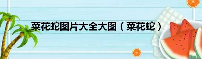 菜花蛇图片大全大图（菜花蛇）