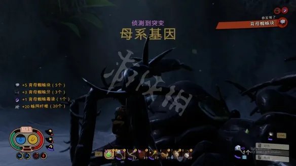 《禁闭求生》育母蜘蛛怎么打?育母蜘蛛打法分享