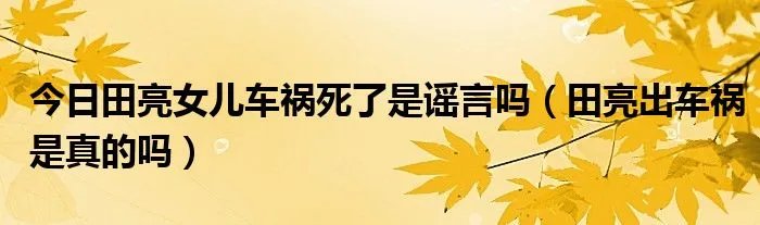 今日田亮女儿车祸死了是谣言吗（田亮出车祸是真的吗）