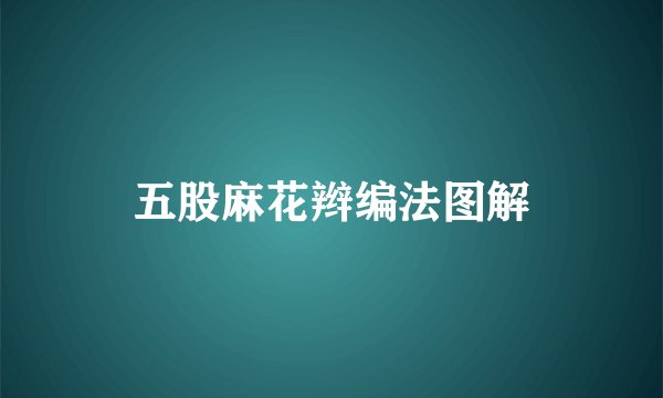 五股麻花辫编法图解