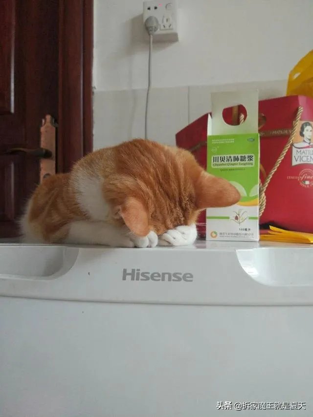 世界上最美的风景图片？