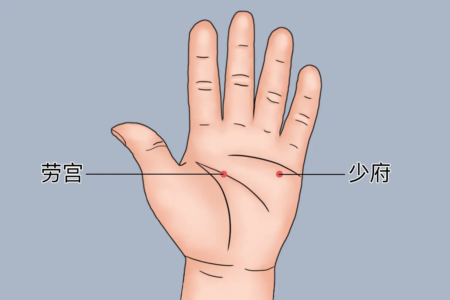 右手手掌穴位位置示意图