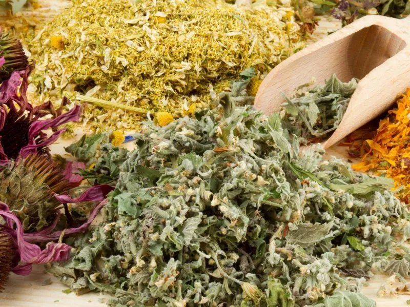 墓头回的作用和功效