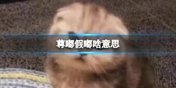 尊嘟假嘟啥意思 尊嘟假嘟梗意思介绍