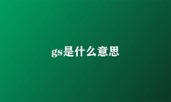 gs是什么意思