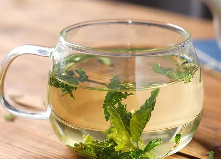 薄荷叶泡水的功效与作用