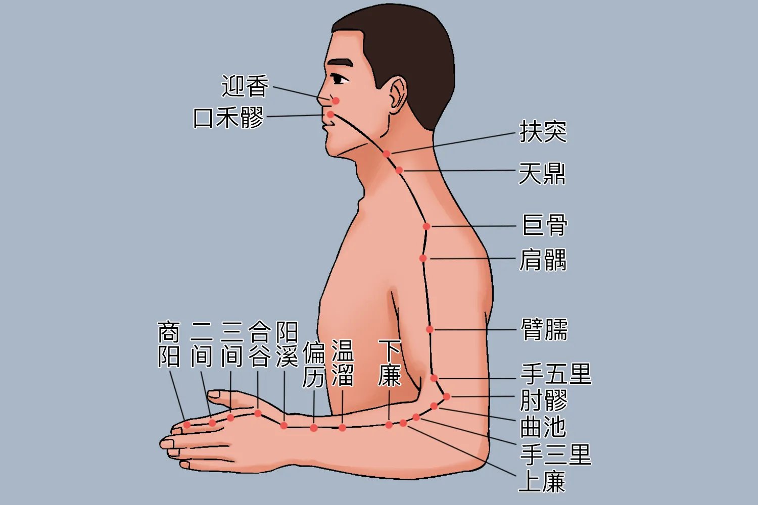 手背三条经络图片