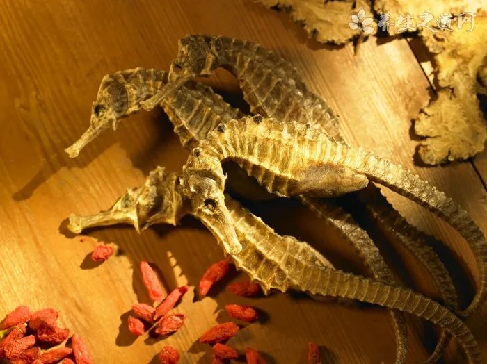 昆仑雪菊怎么保存