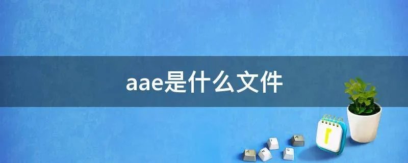 aae是什么文件