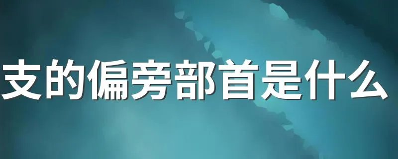 支的偏旁部首是什么 支部首介绍