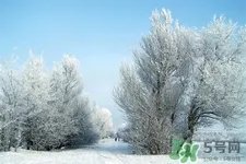 下雪天会打雷吗？下雪天为什么会大雷？