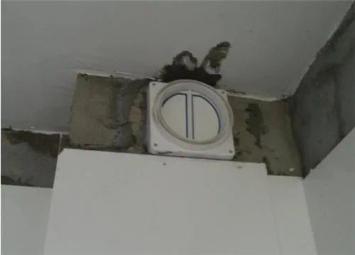 烟道是什么意思