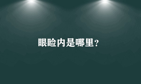 眼睑内是哪里？