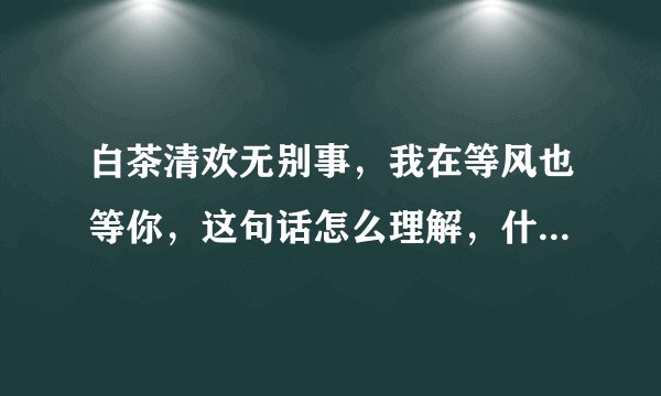 白茶清欢无别事，我在等风也等你，这句话怎么理解，什么意思啊？