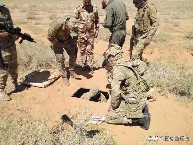 巴沙尔有多少军队？