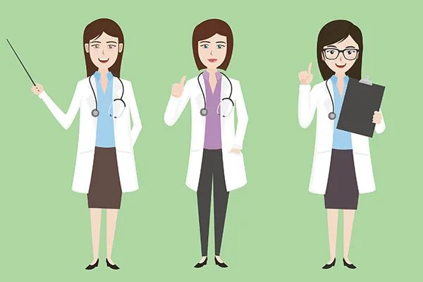 毛冬青的功效与作用