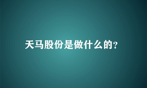 天马股份是做什么的?