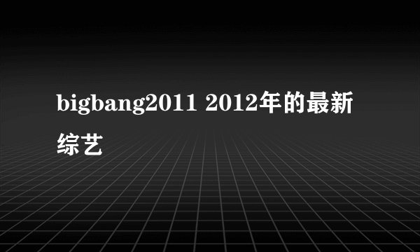 bigbang2011 2012年的最新综艺