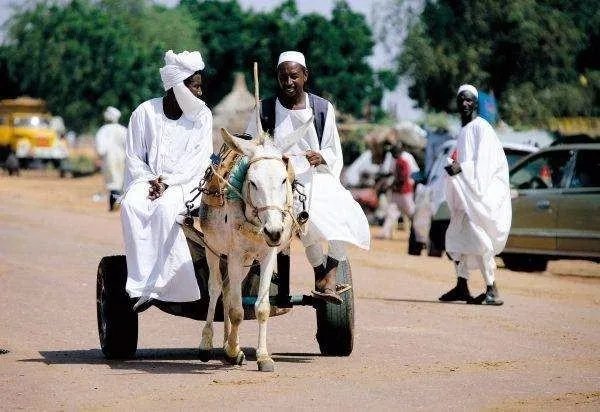 美为何解除对苏丹制裁？