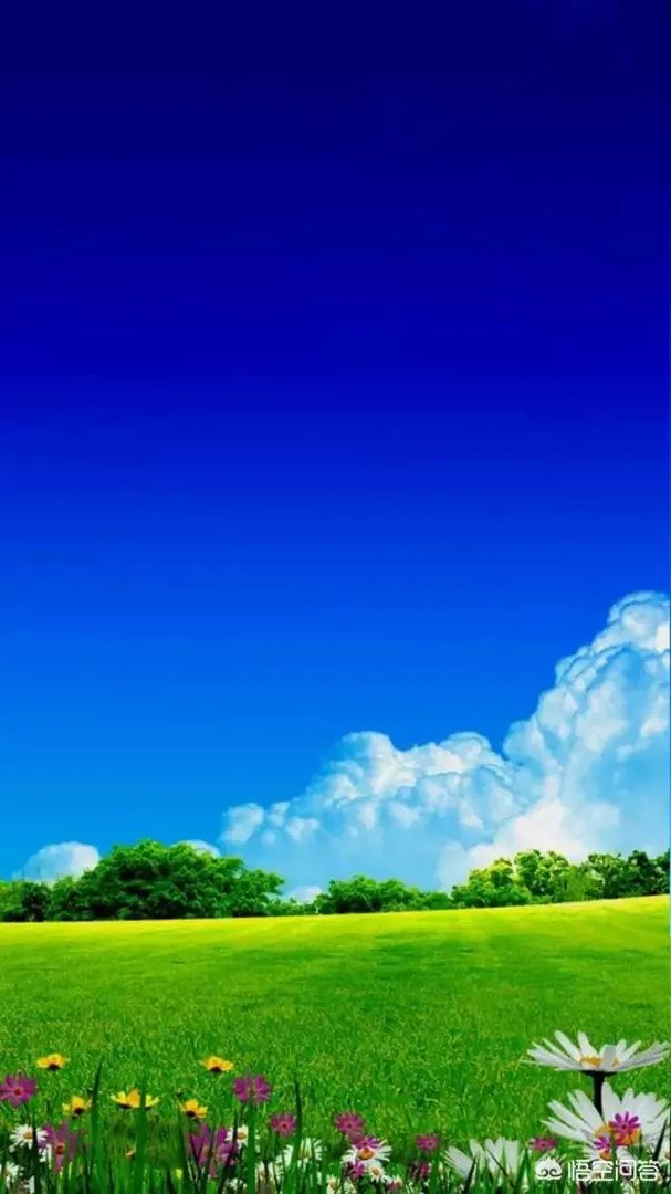 你的手机桌面是什么图片？可以让大家观看一下么？