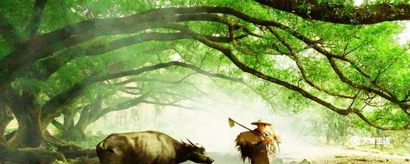 烟花三月下扬州上一句