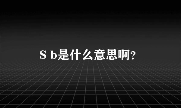 S b是什么意思啊？
