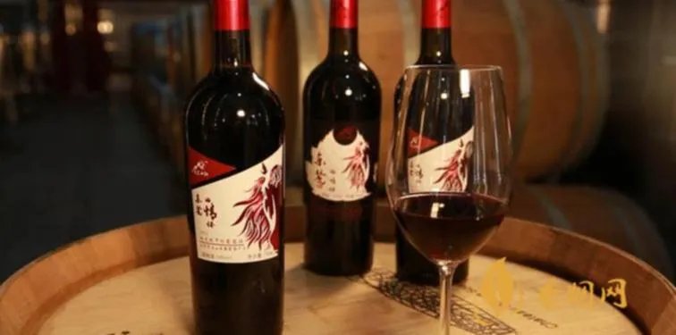 什么是宁夏红？