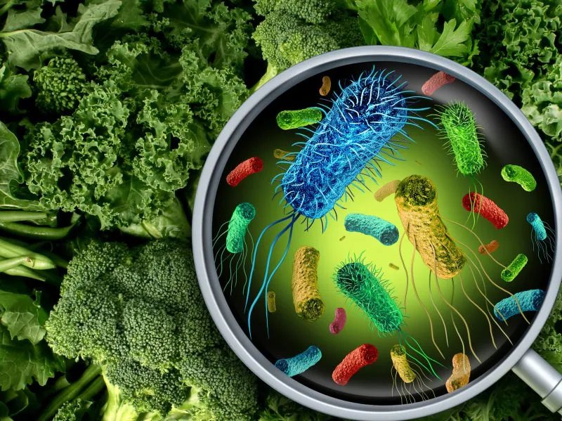 嗜热链球菌的注意事项