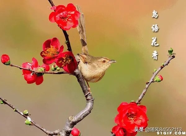 文化创意都是做什么的？