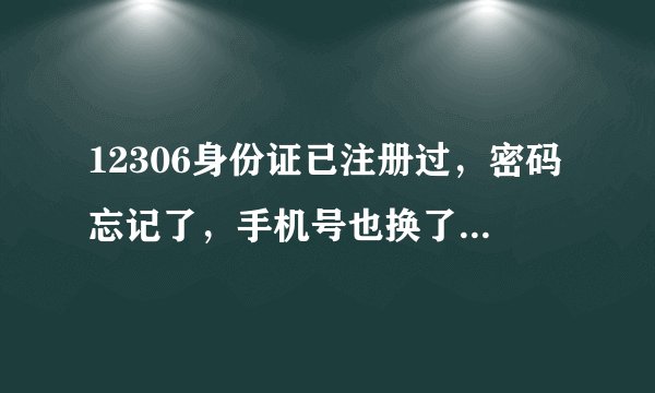 12306身份证已注册过，密码忘记了，手机号也换了怎么办，邮箱也没有