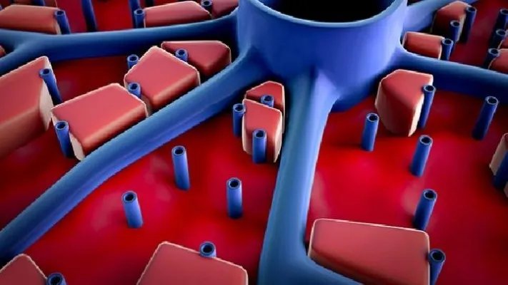 肿瘤是怎么引起的