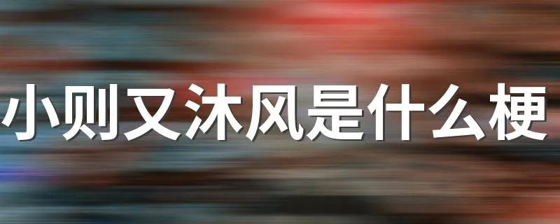 小则又沐风是什么梗 小则又沐风的意思