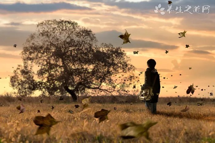 工作压力大怎么释放压力