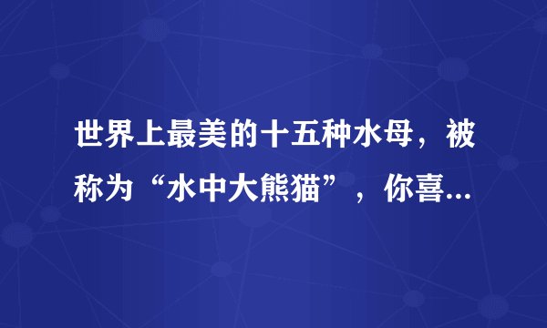 世界上最美的十五种水母，被称为“水中大熊猫”，你喜欢哪一种呢