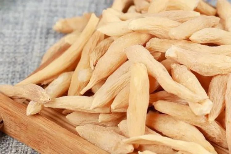 麦冬图片及功效与作用