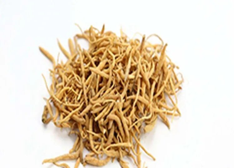 太子参的功效与作用