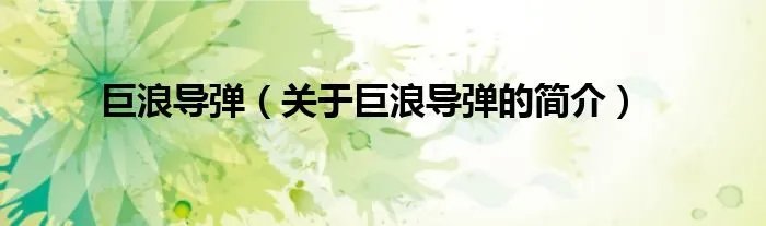 巨浪导弹（关于巨浪导弹的简介）