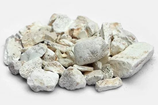 龙骨的功效与作用图片