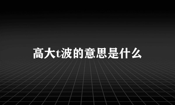 高大t波的意思是什么