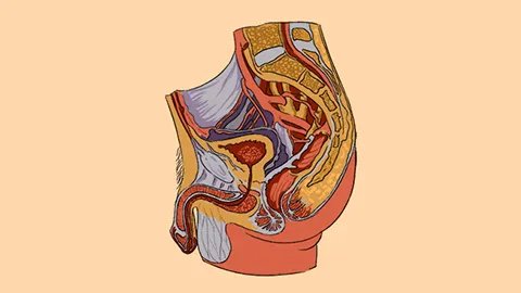 精液量少可以吃什么