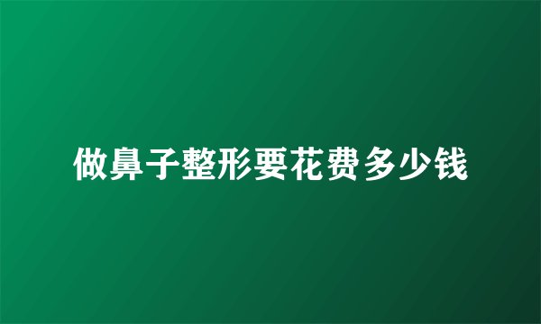 做鼻子整形要花费多少钱