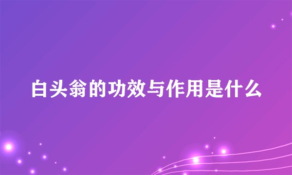 白头翁的功效与作用是什么