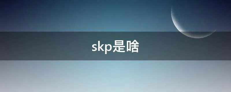 skp是啥